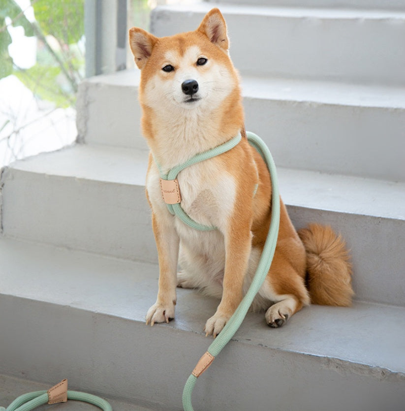 HKM-8491709 Integrated Round Rope Dog Leash in Green and Pink - Durable Cloth Traction Belt