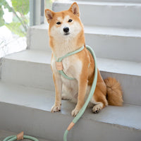 HKM-8491709 Integrated Round Rope Dog Leash in Green and Pink - Durable Cloth Traction Belt