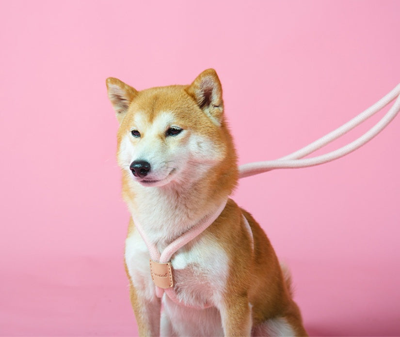 HKM-8491709 Integrated Round Rope Dog Leash in Green and Pink - Durable Cloth Traction Belt