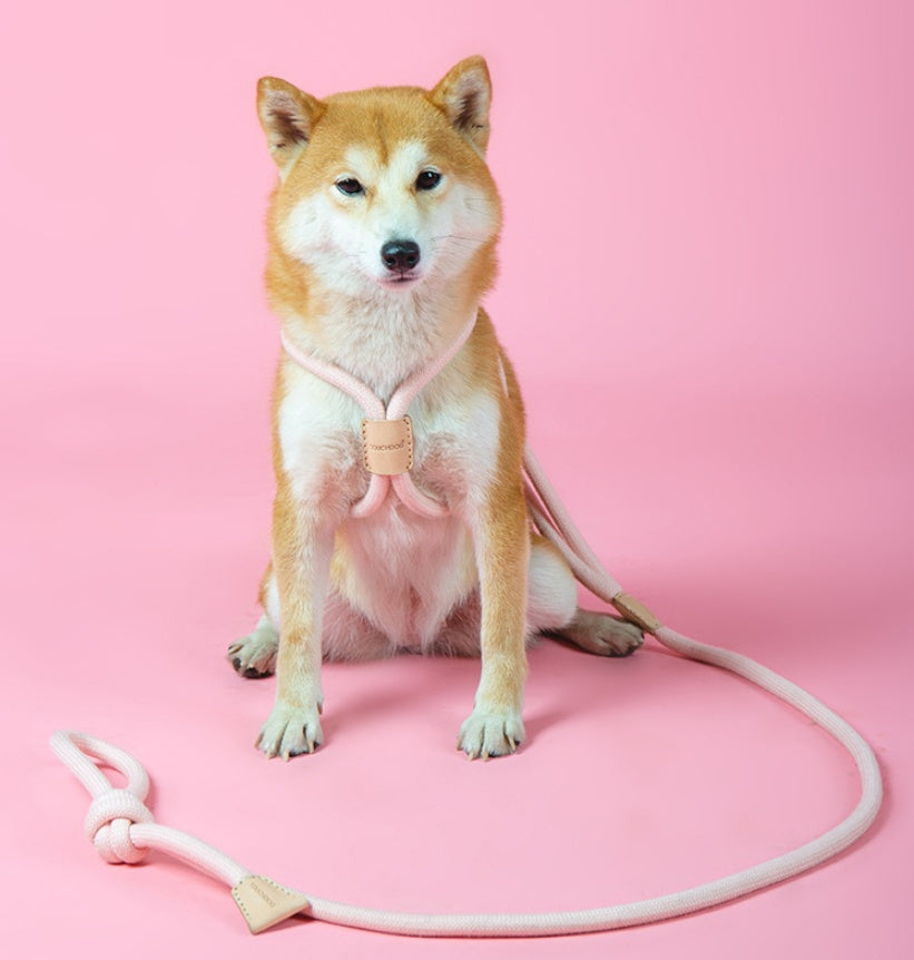 HKM-8491709 Integrated Round Rope Dog Leash in Green and Pink - Durable Cloth Traction Belt
