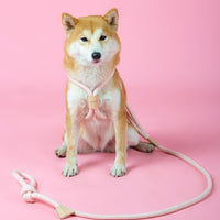 HKM-8491709 Integrated Round Rope Dog Leash in Green and Pink - Durable Cloth Traction Belt