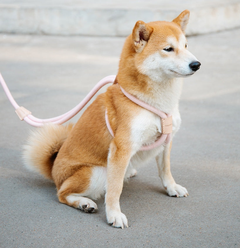 HKM-8491709 Integrated Round Rope Dog Leash in Green and Pink - Durable Cloth Traction Belt