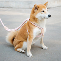 HKM-8491709 Integrated Round Rope Dog Leash in Green and Pink - Durable Cloth Traction Belt