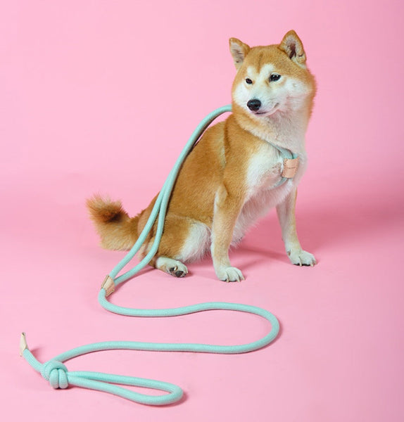 HKM-8491709 Integrated Round Rope Dog Leash in Green and Pink - Durable Cloth Traction Belt