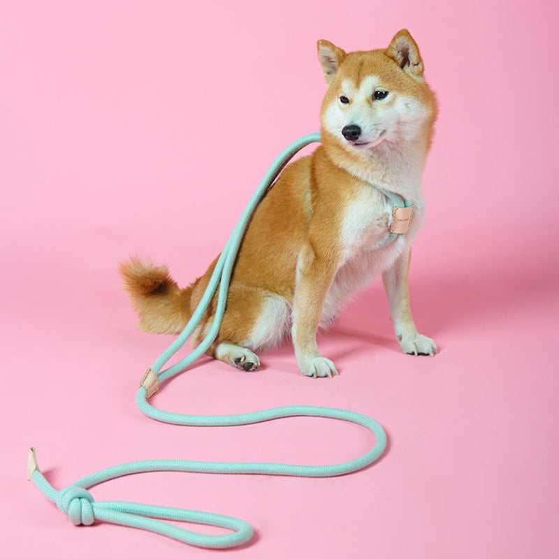 HKM-8491709 Integrated Round Rope Dog Leash in Green and Pink - Durable Cloth Traction Belt