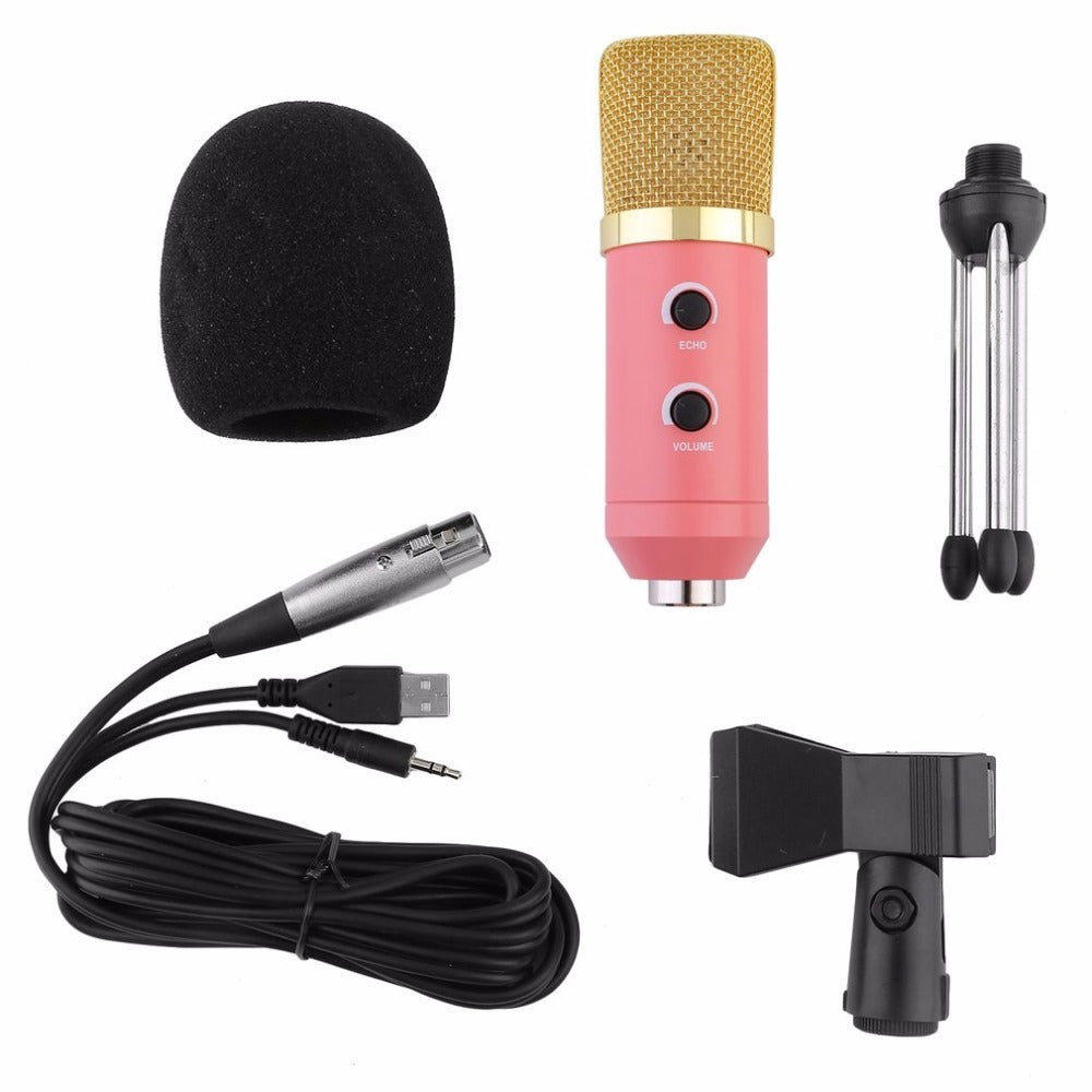 HKM-849171 Reverberation Condenser Microphone with USB Power Supply and Desktop Stand, Model MK-F100TL