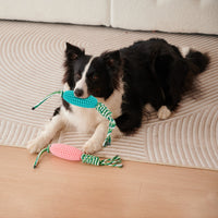 HKM-8510653 Interactive Zigzag Puppy Toothbrush Chew Toy for Dogs - Dental Cleaning & Anxiety Relief