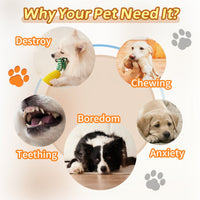 HKM-8510653 Interactive Zigzag Puppy Toothbrush Chew Toy for Dogs - Dental Cleaning & Anxiety Relief