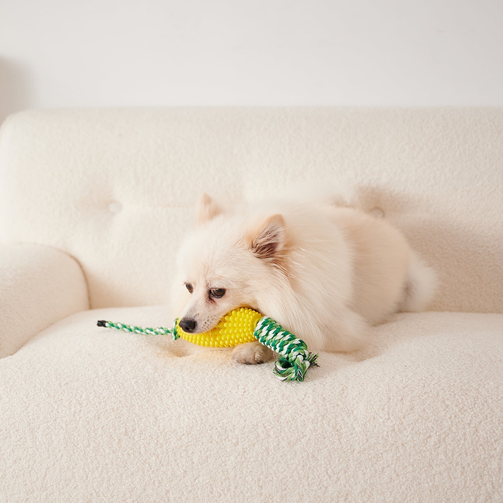 HKM-8510653 Interactive Zigzag Puppy Toothbrush Chew Toy for Dogs - Dental Cleaning & Anxiety Relief