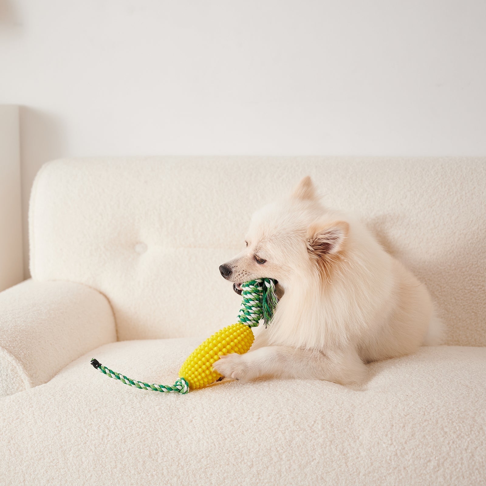 HKM-8510653 Interactive Zigzag Puppy Toothbrush Chew Toy for Dogs - Dental Cleaning & Anxiety Relief
