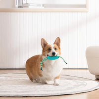 HKM-8510653 Interactive Zigzag Puppy Toothbrush Chew Toy for Dogs - Dental Cleaning & Anxiety Relief