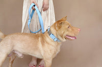HKM-8511165 Sky Blue Velvet Dog Collar - Adjustable Polyester Pet Chain for Sizes XS to XK