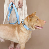 HKM-8511165 Sky Blue Velvet Dog Collar - Adjustable Polyester Pet Chain for Sizes XS to XK