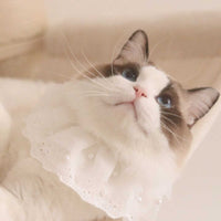 HKM-8517309 Lace Edge Bib Accessories for Cats and Dogs - Adjustable Saliva Towel with Loose Pearl Design