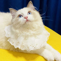 HKM-8517309 Lace Edge Bib Accessories for Cats and Dogs - Adjustable Saliva Towel with Loose Pearl Design