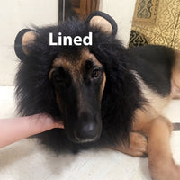 HKM-8519741 Light Brown and Red Brown Lion Head Cover for Dogs in Sizes S, M, L with Adjustable Neck Band