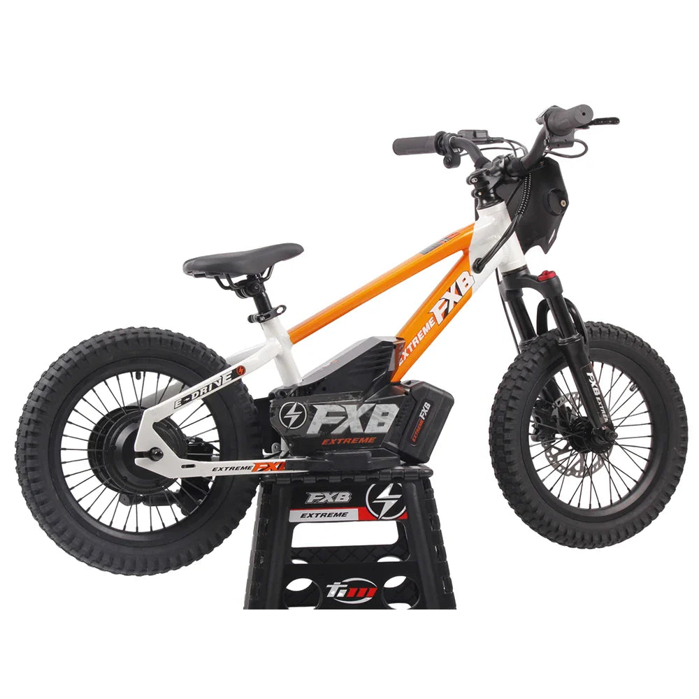 HKM-852179 16-Inch Children’s Electric Balance Bike with Aluminum Frame, Brushless Motor, and Hydraulic Disc Brakes