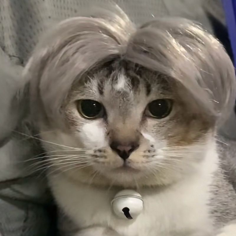 HKM-8531005 Punk Style Pet Wig for Halloween and Festive Events - Available in Multiple Sizes