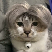 HKM-8531005 Punk Style Pet Wig for Halloween and Festive Events - Available in Multiple Sizes