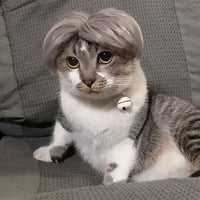 HKM-8531005 Punk Style Pet Wig for Halloween and Festive Events - Available in Multiple Sizes