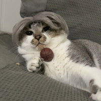HKM-8531005 Punk Style Pet Wig for Halloween and Festive Events - Available in Multiple Sizes