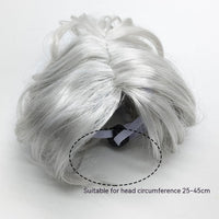 HKM-8531005 Punk Style Pet Wig for Halloween and Festive Events - Available in Multiple Sizes