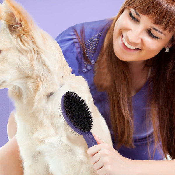HKM-8532029 Pet Comb for Dogs - Fluffy Needle Knotting Tool with Silicone Handle in Various Colors