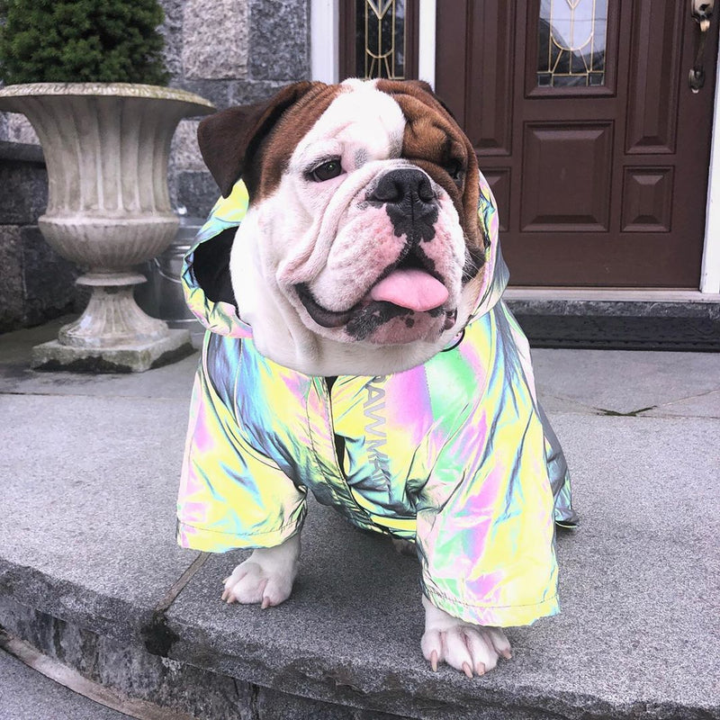 HKM-8534589 Reflective Dog Windbreaker Hoodie, Waterproof Pet Jacket, Sizes S to 4XL