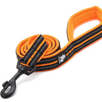 HKM-8541757 Nylon Dog Leash with Soft Mesh Lining and Reflective Accents, 110cm Length