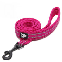 HKM-8541757 Nylon Dog Leash with Soft Mesh Lining and Reflective Accents, 110cm Length