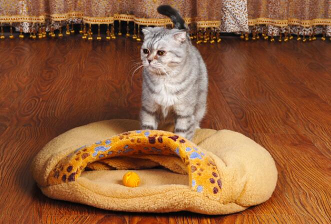 HKM-8542013 Cozy Cat Sleeping Bag with Paw Print Design – Small and Large Sizes Available
