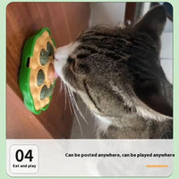 HKM-8542781 Interactive Catnip Balls for Wall Attachment | Edible Catnip Chew Toys for Indoor Play