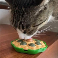 HKM-8542781 Interactive Catnip Balls for Wall Attachment | Edible Catnip Chew Toys for Indoor Play
