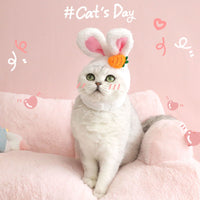 HKM-8552509 Plush Cartoon Hat with Rabbit and Carrot Ears for Cats and Dogs, Soft Polar Fleece Pet Accessory