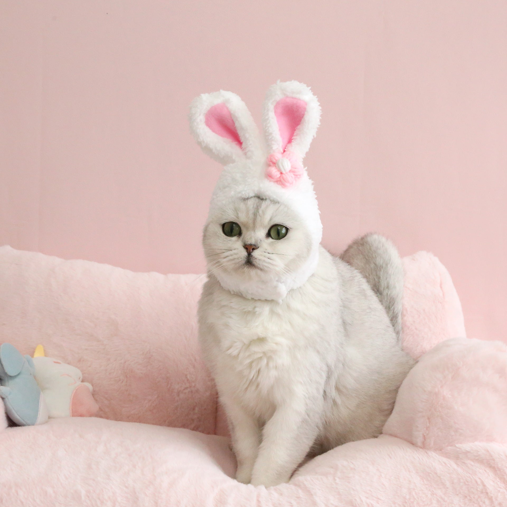 HKM-8552509 Plush Cartoon Hat with Rabbit and Carrot Ears for Cats and Dogs, Soft Polar Fleece Pet Accessory