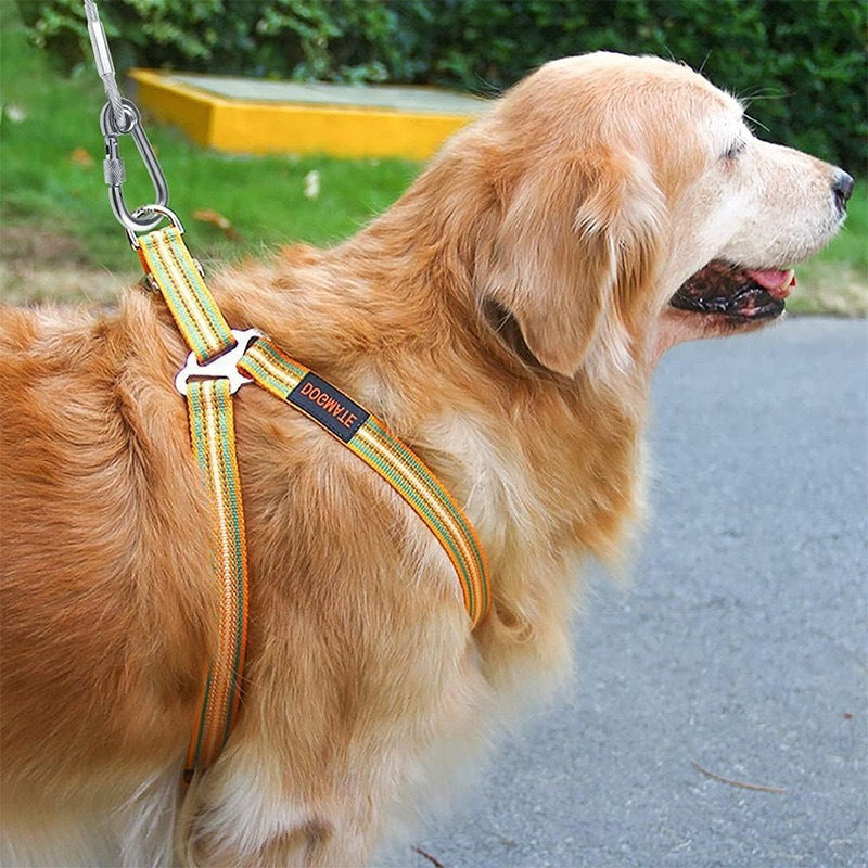HKM-856019 Stainless Steel Wire Rope Dog Leash - Durable and Versatile Pet Towing Rope (3mm Thickness)