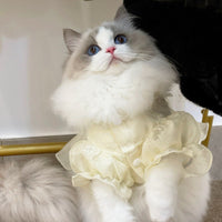 HKM-8561597 Thin Anti-Hair Loss Cotton Wool Pet Skirt for Kittens