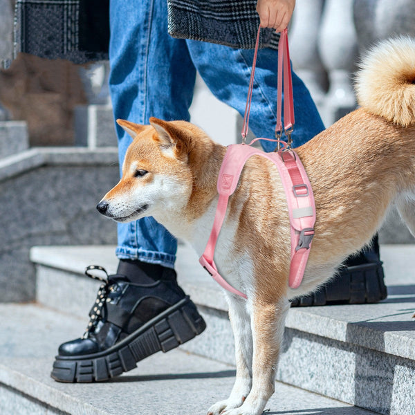 HKM-8568253 Assisted Split Chest Strap for Pets - Suitable for Dogs, Cats, and Large Animals