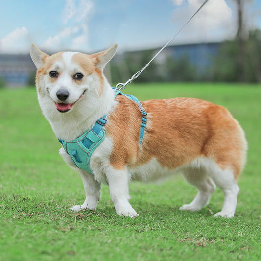 HKM-8574013 Large Anti-Slip Pet Chest Harness with Traction Rope in Various Colors