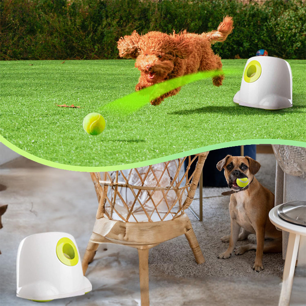 HKM-8576189 Automatic Electric Mini Tennis Throwing Machine for Pets - Lightweight and USB-Powered