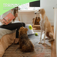 HKM-8576189 Automatic Electric Mini Tennis Throwing Machine for Pets - Lightweight and USB-Powered