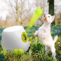 HKM-8576189 Automatic Electric Mini Tennis Throwing Machine for Pets - Lightweight and USB-Powered
