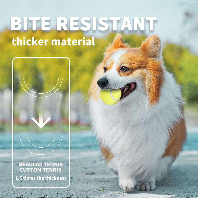 HKM-8576189 Automatic Electric Mini Tennis Throwing Machine for Pets - Lightweight and USB-Powered