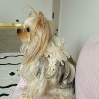 HKM-857875 Fashionable Milk White Dog Leash with Bow Tie Chest Strap - Adjustable Sizes, Polyester Material for Comfort