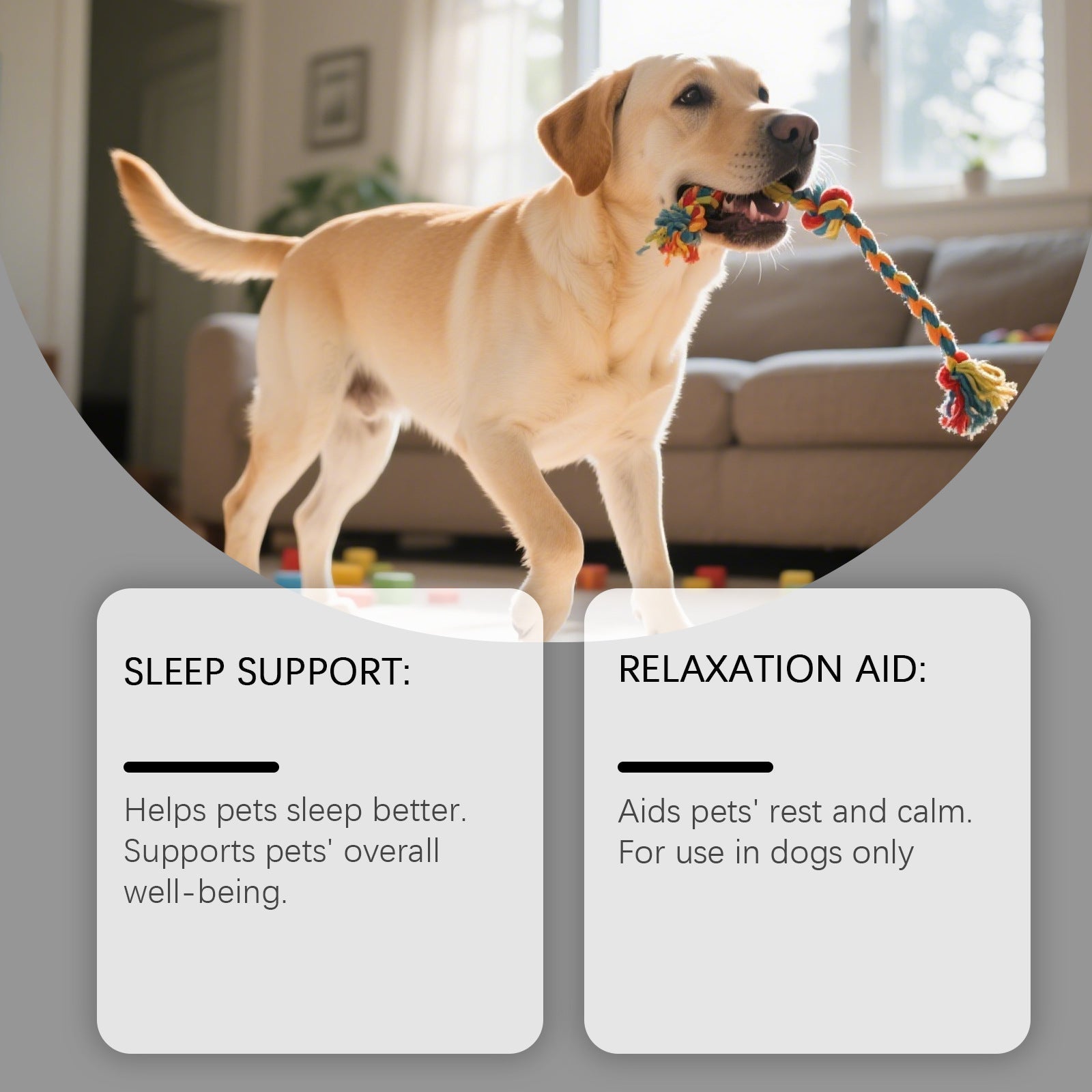 HKM-8580541 Dog Advanced Melatonin Drops for Calm and Relaxation - 60ml Natural Sleep Support
