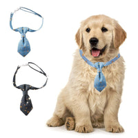 HKM-8582717 Fancy Adjustable Dog Collar for Small and Medium Dogs - Long Tie Design with Golden Star Decoration