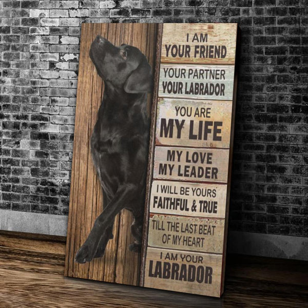 HKM-858515 Labrador-Themed Canvas Painting – Fashionable and Simple Dog Wall Art, Unframed Poster