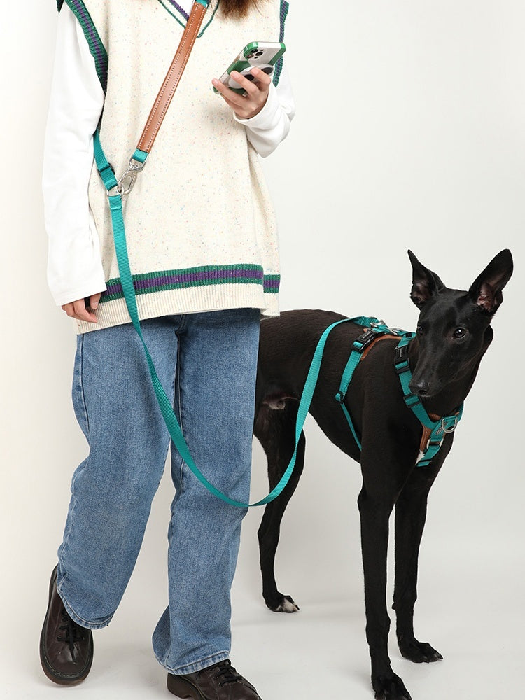 HKM-8590013 Durable Nylon Pet Traction Rope for Large Dogs - Available in Cardamom Red, Linen Green, Yunshan Blue (Length: 108-220cm, Width: 2.0cm)