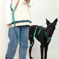 HKM-8590013 Durable Nylon Pet Traction Rope for Large Dogs - Available in Cardamom Red, Linen Green, Yunshan Blue (Length: 108-220cm, Width: 2.0cm)