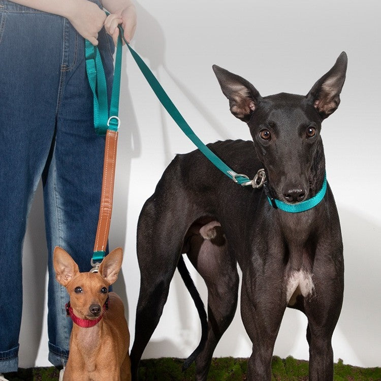 HKM-8590013 Durable Nylon Pet Traction Rope for Large Dogs - Available in Cardamom Red, Linen Green, Yunshan Blue (Length: 108-220cm, Width: 2.0cm)